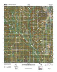 Enon Florida Historical topographic map, 1:24000 scale, 7.5 X 7.5 Minute, Year 2012