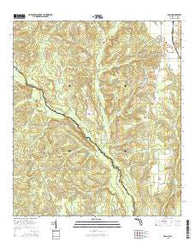 Enon Florida Current topographic map, 1:24000 scale, 7.5 X 7.5 Minute, Year 2015