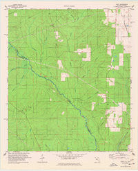 Enon Florida Historical topographic map, 1:24000 scale, 7.5 X 7.5 Minute, Year 1978