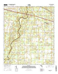 Falmouth Florida Current topographic map, 1:24000 scale, 7.5 X 7.5 Minute, Year 2015