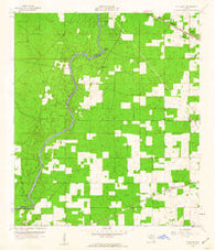Falmouth Florida Historical topographic map, 1:24000 scale, 7.5 X 7.5 Minute, Year 1959
