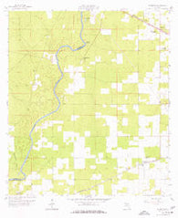 Falmouth Florida Historical topographic map, 1:24000 scale, 7.5 X 7.5 Minute, Year 1959