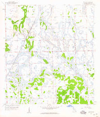 Felda NE Florida Historical topographic map, 1:24000 scale, 7.5 X 7.5 Minute, Year 1958