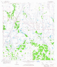 Felda NE Florida Historical topographic map, 1:24000 scale, 7.5 X 7.5 Minute, Year 1958