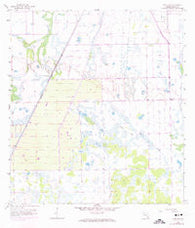 Felda NE Florida Historical topographic map, 1:24000 scale, 7.5 X 7.5 Minute, Year 1958