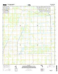 Felda NE Florida Current topographic map, 1:24000 scale, 7.5 X 7.5 Minute, Year 2015