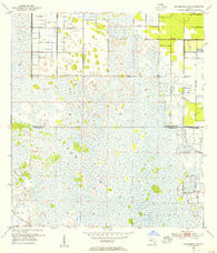 Fellsmere 4 SE Florida Historical topographic map, 1:24000 scale, 7.5 X 7.5 Minute, Year 1953
