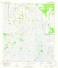 Fellsmere 4 SE Florida Historical topographic map, 1:24000 scale, 7.5 X 7.5 Minute, Year 1953