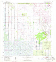 Fellsmere NW Florida Historical topographic map, 1:24000 scale, 7.5 X 7.5 Minute, Year 1953