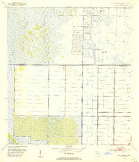 Fellsmere SW Florida Historical topographic map, 1:24000 scale, 7.5 X 7.5 Minute, Year 1953