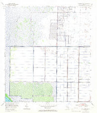 Fellsmere SW Florida Historical topographic map, 1:24000 scale, 7.5 X 7.5 Minute, Year 1953