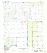 Fellsmere SW Florida Historical topographic map, 1:24000 scale, 7.5 X 7.5 Minute, Year 1953