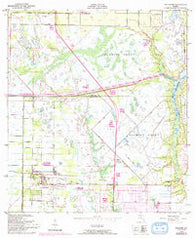 Fellsmere Florida Historical topographic map, 1:24000 scale, 7.5 X 7.5 Minute, Year 1949