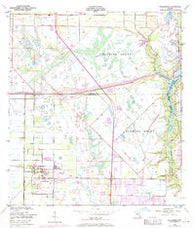 Fellsmere Florida Historical topographic map, 1:24000 scale, 7.5 X 7.5 Minute, Year 1949