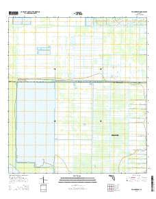 Fellsmere SW Florida Current topographic map, 1:24000 scale, 7.5 X 7.5 Minute, Year 2015