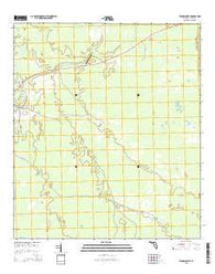 Fenholloway Florida Current topographic map, 1:24000 scale, 7.5 X 7.5 Minute, Year 2015