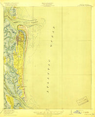 Fernandina Florida Historical topographic map, 1:62500 scale, 15 X 15 Minute, Year 1919