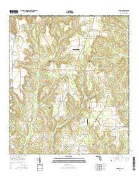 Fidelis Florida Current topographic map, 1:24000 scale, 7.5 X 7.5 Minute, Year 2015