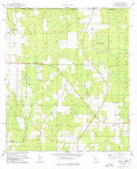 Fidelis Florida Historical topographic map, 1:24000 scale, 7.5 X 7.5 Minute, Year 1978