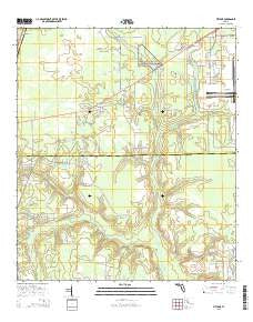 Fiftone Florida Current topographic map, 1:24000 scale, 7.5 X 7.5 Minute, Year 2015