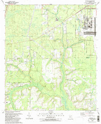 Fiftone Florida Historical topographic map, 1:24000 scale, 7.5 X 7.5 Minute, Year 1993