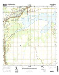 Fisheating Bay Florida Current topographic map, 1:24000 scale, 7.5 X 7.5 Minute, Year 2015