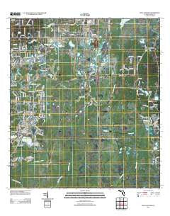 Fivay Junction Florida Historical topographic map, 1:24000 scale, 7.5 X 7.5 Minute, Year 2012