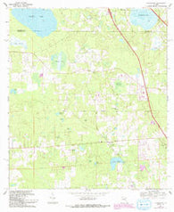 Flemington Florida Historical topographic map, 1:24000 scale, 7.5 X 7.5 Minute, Year 1969