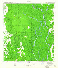 Forbes Island Florida Historical topographic map, 1:24000 scale, 7.5 X 7.5 Minute, Year 1944