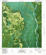 Forbes Island Florida Historical topographic map, 1:24000 scale, 7.5 X 7.5 Minute, Year 1982
