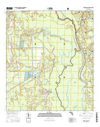 Forbes Island Florida Current topographic map, 1:24000 scale, 7.5 X 7.5 Minute, Year 2015