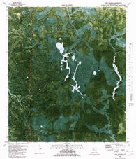 Fort Gadsden Florida Historical topographic map, 1:24000 scale, 7.5 X 7.5 Minute, Year 1981