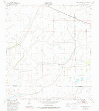 Fort Kissimmee NE Florida Historical topographic map, 1:24000 scale, 7.5 X 7.5 Minute, Year 1953