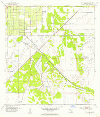 Fort Pierce SW Florida Historical topographic map, 1:24000 scale, 7.5 X 7.5 Minute, Year 1953