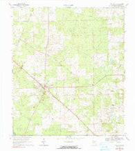 Fort White Florida Historical topographic map, 1:24000 scale, 7.5 X 7.5 Minute, Year 1969