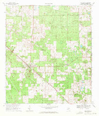 Fort White Florida Historical topographic map, 1:24000 scale, 7.5 X 7.5 Minute, Year 1969