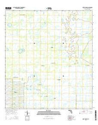 Fort Drum SW Florida Current topographic map, 1:24000 scale, 7.5 X 7.5 Minute, Year 2015