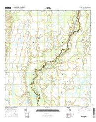 Fort Kissimmee Florida Current topographic map, 1:24000 scale, 7.5 X 7.5 Minute, Year 2015