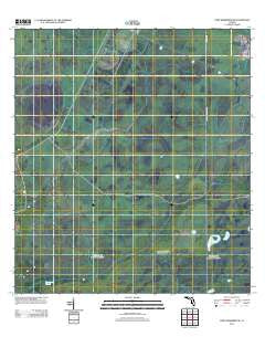 Fort Kissimmee NE Florida Historical topographic map, 1:24000 scale, 7.5 X 7.5 Minute, Year 2012