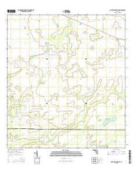 Fort Kissimmee NE Florida Current topographic map, 1:24000 scale, 7.5 X 7.5 Minute, Year 2015