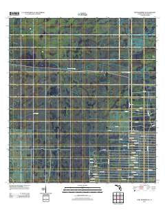 Fort Kissimmee SE Florida Historical topographic map, 1:24000 scale, 7.5 X 7.5 Minute, Year 2012