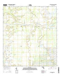 Fort Kissimmee SE Florida Current topographic map, 1:24000 scale, 7.5 X 7.5 Minute, Year 2015