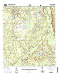 Fort McCoy Florida Current topographic map, 1:24000 scale, 7.5 X 7.5 Minute, Year 2015