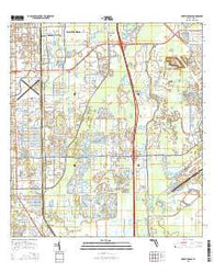 Fort Myers SE Florida Current topographic map, 1:24000 scale, 7.5 X 7.5 Minute, Year 2015