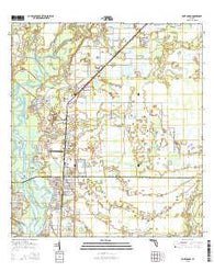 Fort Ogden Florida Current topographic map, 1:24000 scale, 7.5 X 7.5 Minute, Year 2015