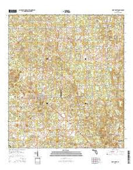 Fort White Florida Current topographic map, 1:24000 scale, 7.5 X 7.5 Minute, Year 2015
