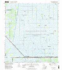 Fortymile Bend Florida Historical topographic map, 1:24000 scale, 7.5 X 7.5 Minute, Year 1995