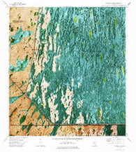 Fortymile Bend Florida Historical topographic map, 1:24000 scale, 7.5 X 7.5 Minute, Year 1973