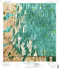 Fortymile Bend Florida Historical topographic map, 1:24000 scale, 7.5 X 7.5 Minute, Year 1973