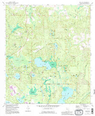 Gap Lake Florida Historical topographic map, 1:24000 scale, 7.5 X 7.5 Minute, Year 1994